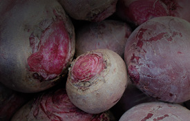 Agrii Header Forage Roots