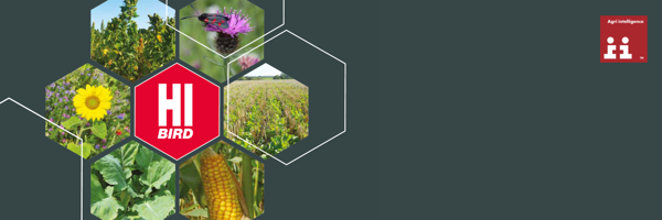 Hi Bird Brochure Cta (1)