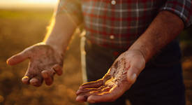 Agrii Card Green horizons