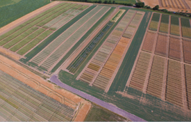 Agrii Throws Farm Trial Plots from above