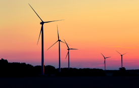 wind farm at sunset