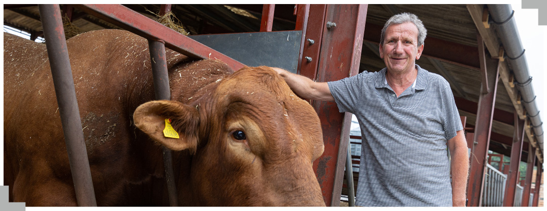 Agrii General Livestock