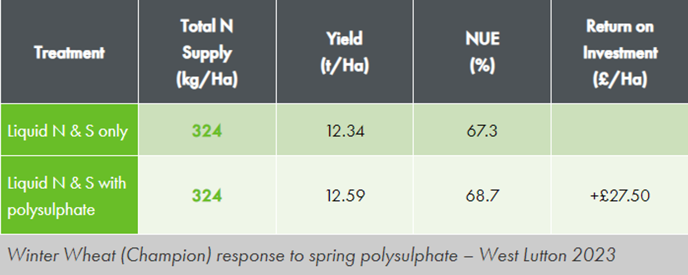 How To Kickstart Slow Growing Crops This Spring