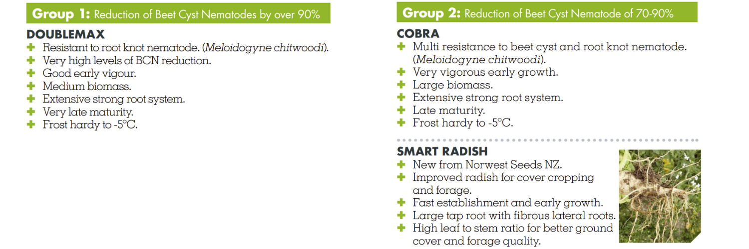 NEMATODE REDUCING VARIETIES