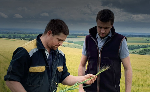 Research-backed agronomy to help you produce sustainable crops.