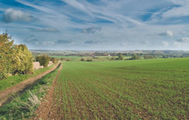 Green Horizons field